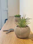 Hygge Home | Garten | Stellplatz Bild 15
