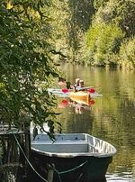 Ferienwohnungen / Zimmer bei Plau am See Bild 10