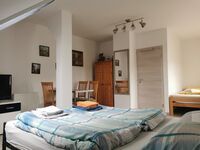 Schmetterling Zimmer Obrázok 1