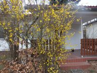 Haus Schmidt Zdjęcie 10