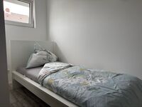 Moderne, preiswerte Unterkünfte in Ludwigshafen am Rhein Bild 1