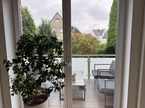Moderne, preiswerte Unterkünfte in Dresden und Umgebung Bild 2
