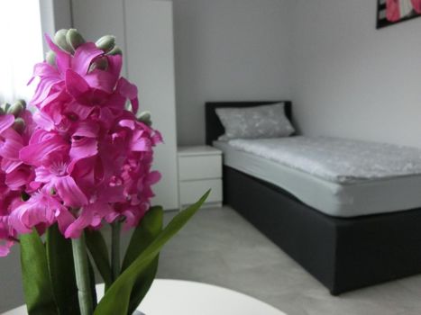 Monteurzimmer & Apartments in Vaihingen/Enz (360° Rundgang!)