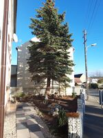 Pension Schlesinger Bild 2