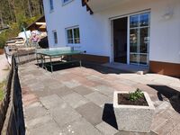 Hazs zum Wald Picture 12