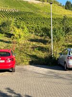 2x Monteurwohnung Winningen Koblenz TOP LAGE Zdjęcie 13