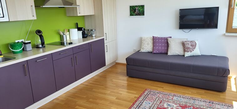 Küchenblock im Wohnschlafzimmer