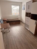 Michael Sekler-Objekt: Peininger Straße 237, Salzgitter Bild 4