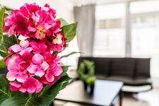 HomeRent in Monheim, Langenfeld und Umgebung Bild 1