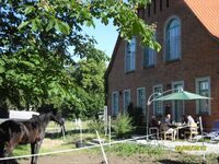 Alter Pferdestall Dreveskirchen (165 m2) 8 Personen Bild 14