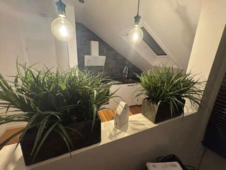 Monteurwohnung ALL IN – Ideal für bis zu 18 Personen Picture 4