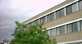 Sonniges 1-Zimmer-Appartement Bild 6