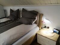 Alex- Wohnraum Vermietung Bild 2