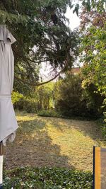 Gästezimmer / WG Bozkurt – Dein gemütlicher Aufenthalt in Jockgrim Bild 6