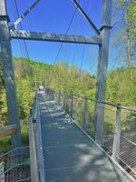 Natur und Ruhe In Prümzurlay Bild 12