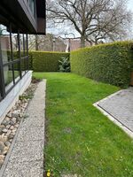 Monteurwohnung Buva mit Wintergarten Bild 11