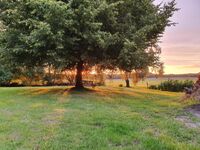 Gästezimmer an der Linde Picture 6