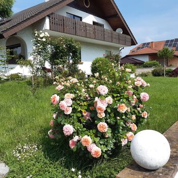 Monteurwohnung Bild 3