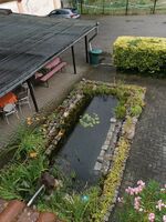Pension zur "Alten Schmiede" Bild 8