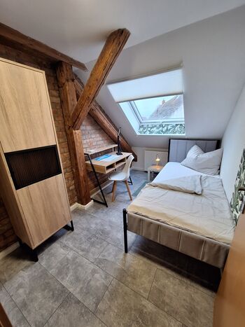 Drechler Apartment 200 Betten Wanzleben/Magdeburg/Sülzetal Picture 5