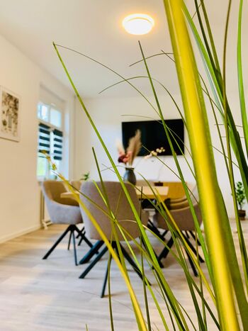 Wohnung Stralsund Bild 4