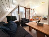 Nordseehof Reitz - 8 FeWo´s mit 26 Betten Bild 9