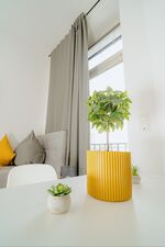 Apartments zentral in Koblenz in der Löhrstraße Bild 13