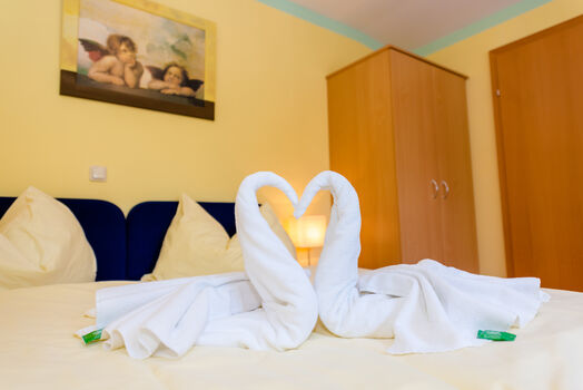 1-A-Hotel Steiner Picture 4