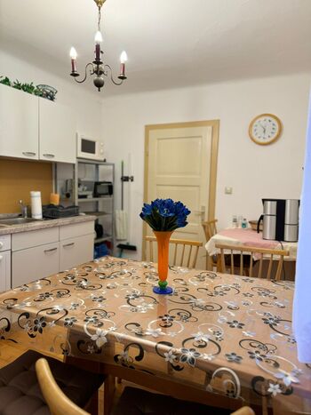 Rustikales Häuschen in Gmünd Picture 2