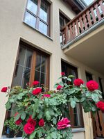 Privatpension "Am Stadtpark" Trebbin, Inh. Katharina Schulze Picture 17