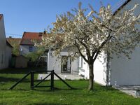 Pfeiffer´s Ferienwohnung Bild 9