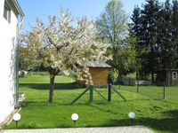 Pfeiffer´s Ferienwohnung Bild 7