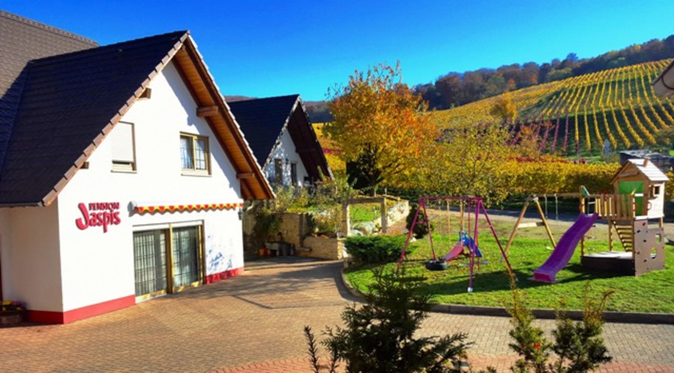 Blick zu den Reben