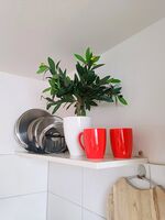 Monteurezimmer im Höfle Bild 25