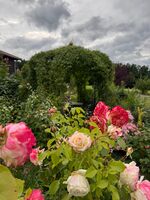 Romantik Unterkünfte Gut Rechtsberg Picture 24