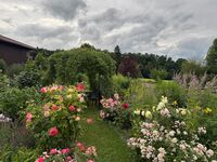 Romantik Unterkünfte Gut Rechtsberg Picture 16