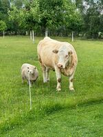 Landhaus Brigitte Obrázok 20