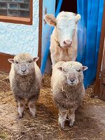 Landhaus Brigitte Obrázok 17