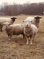 Landhaus Brigitte Obrázok 16