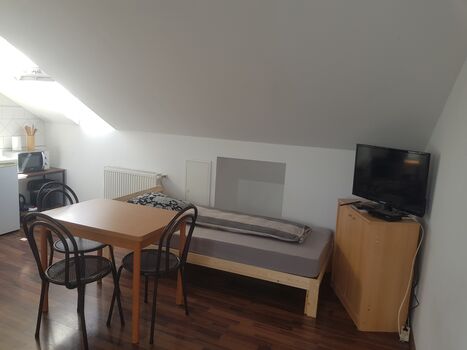 Möbliertes 1 Zimmer Apartment in Griesstätt mit eigener Küche und Bad Bild 2