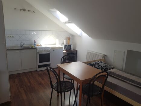 Möbliertes 1 Zimmer Apartment in Griesstätt mit eigener Küche und Bad Bild 3