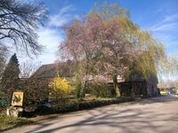 Pension Leitingshof (Borken/Weseke) Bild 1